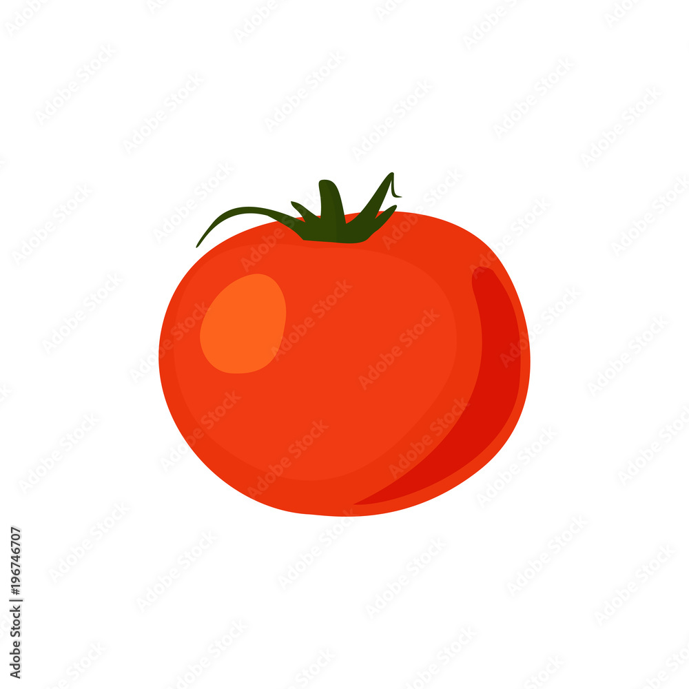 Red ripe tomatoes vector illustration isolated on white. Red ripe tomatoes vector illustration isolated on white.