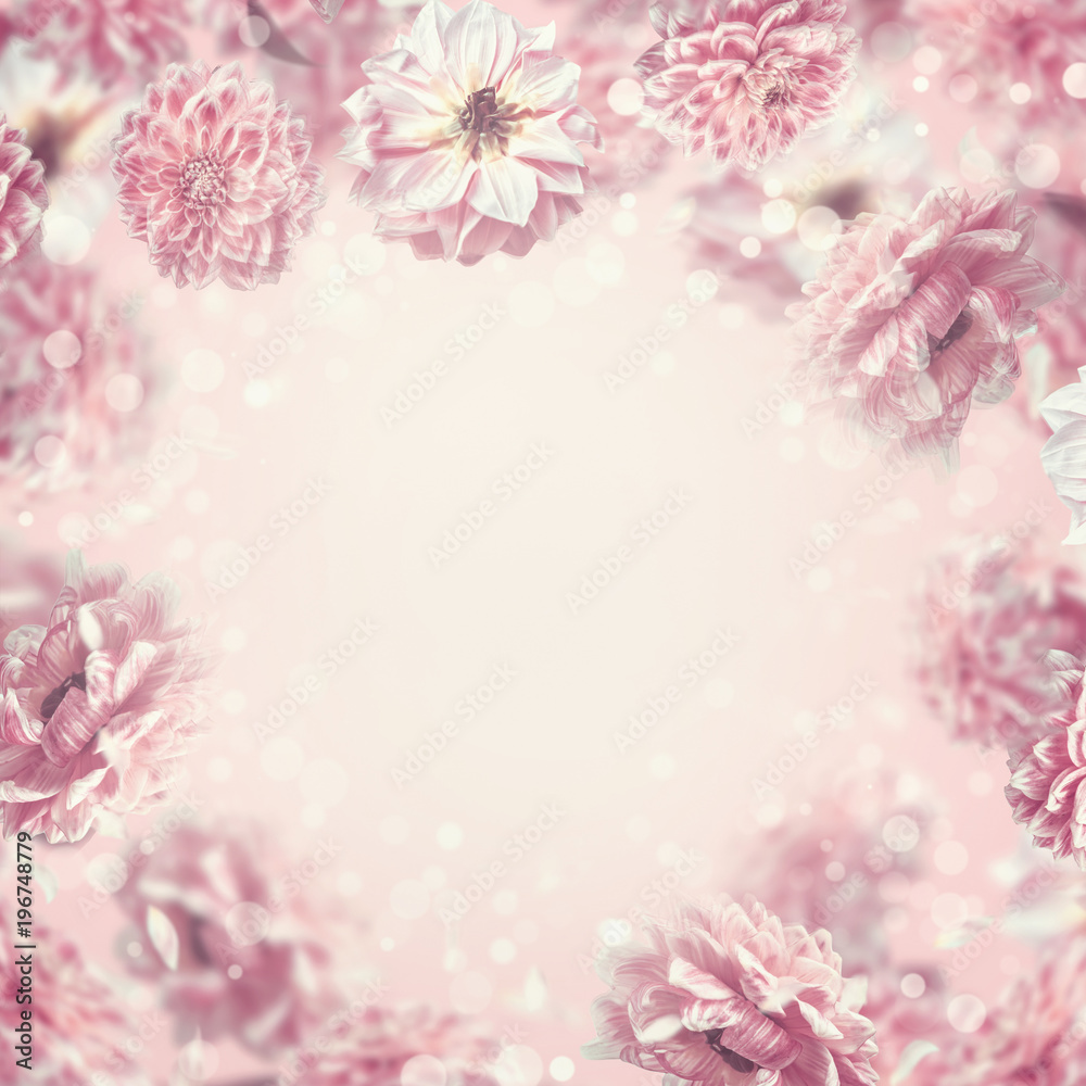 Falling or flying pastel pink flowers background or frame, creative layout with copy space for design Falling or flying pastel pink flowers background or frame, creative layout with copy space for design