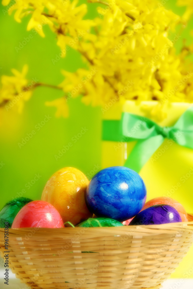 Colorful easter eggs in bowl with ribbon and flowers of golden rain tree Colorful easter eggs in bowl with ribbon and flowers of golden rain tree