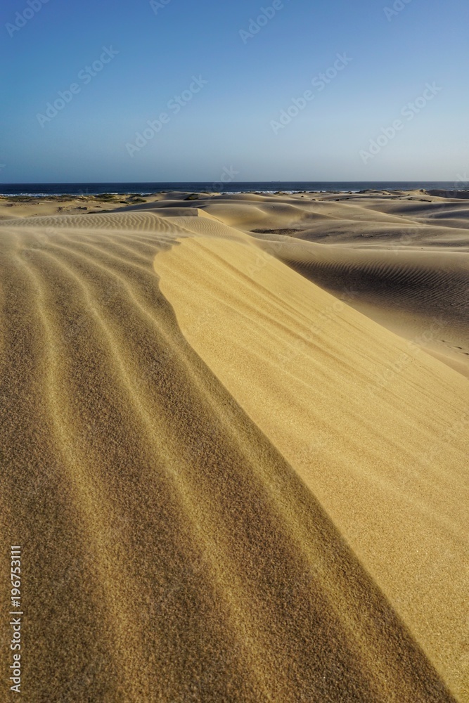 Wüste | Sandwüste am Burubi Beach, NSW, Port Stephens, Australien