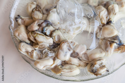 Fresh Oyster on ice serve in dish