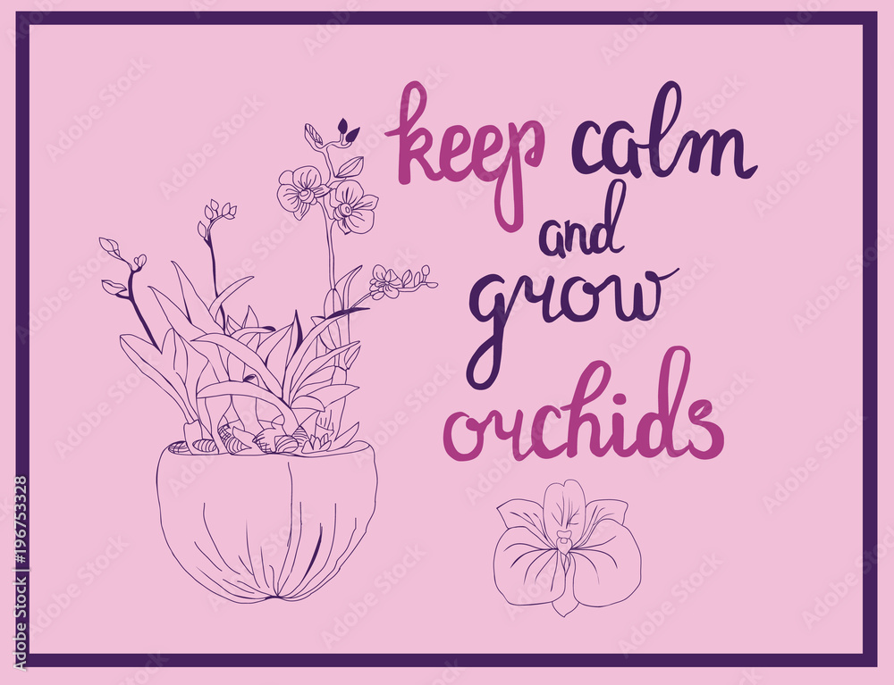  illustration of orchid flowers and calligraphy quote keep calm and grow orchids.