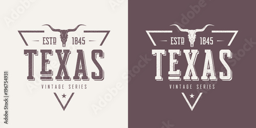 Texas state textured vintage vector t-shirt and apparel design,  photo