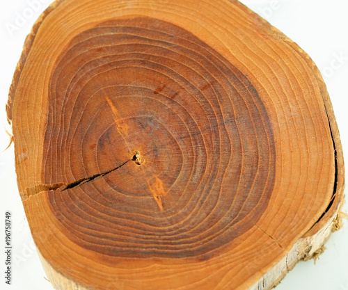 Macro Photography: Teak Wood stucture photo