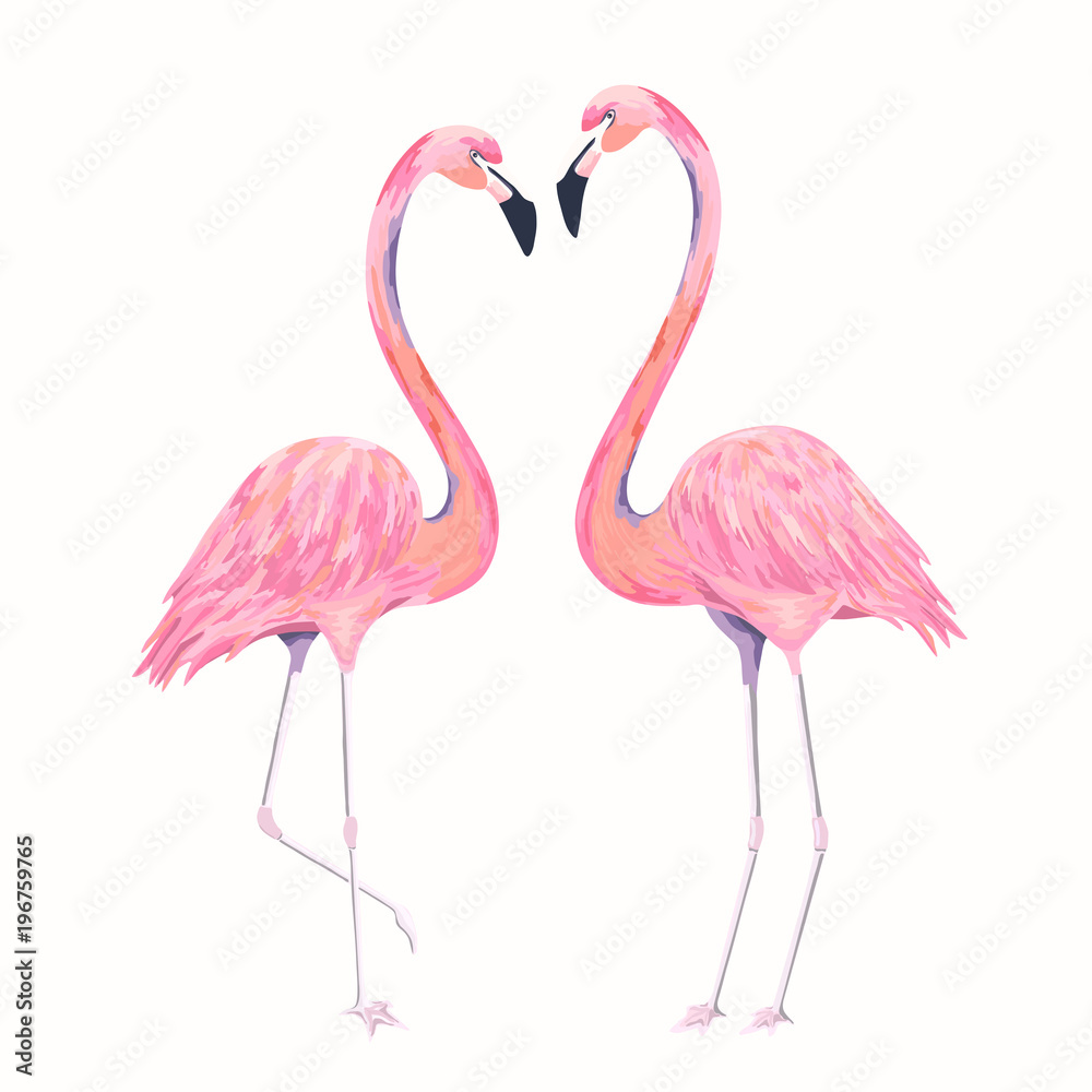 Fototapeta premium Walentynki flamingi. Ilustracja na białym tle wektor. Para ptaków. Styl akwareli