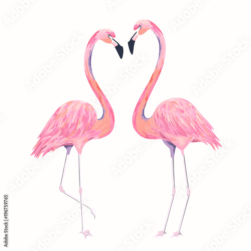 Valentines  flamingos. Isolated vector illustration. Couple birds. Watercolor style