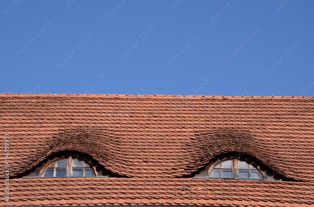 Symmetrical roof windows that look like eyes