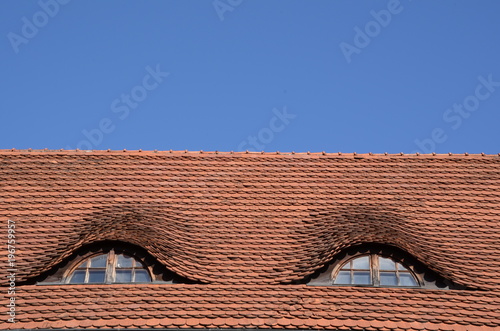 Symmetrical roof windows that look like eyes