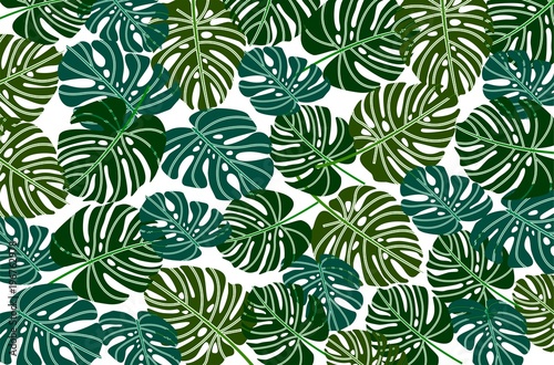 pattern tropical leaf