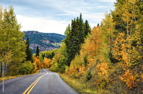 Autumn Road