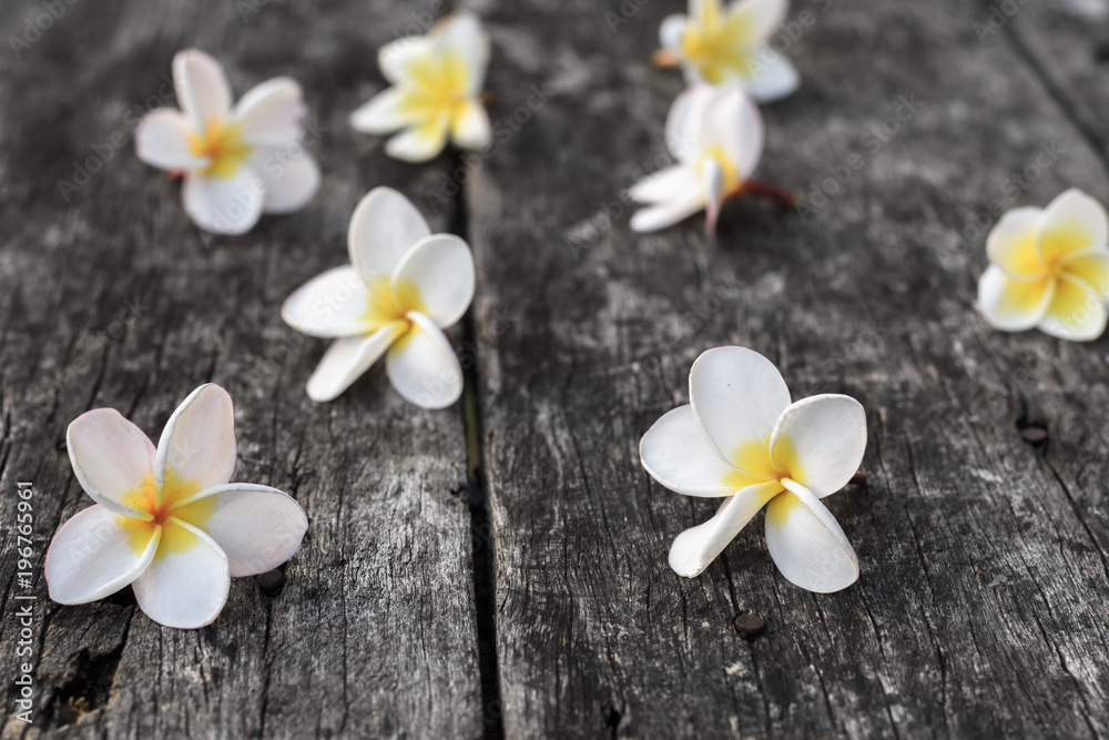 Old wooden table with laos champa flower Old wooden table with laos champa flower