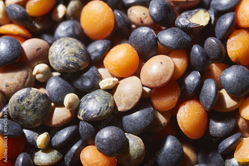 different lentils, red, brown and white quinoa different lentils, red, brown and white quinoa