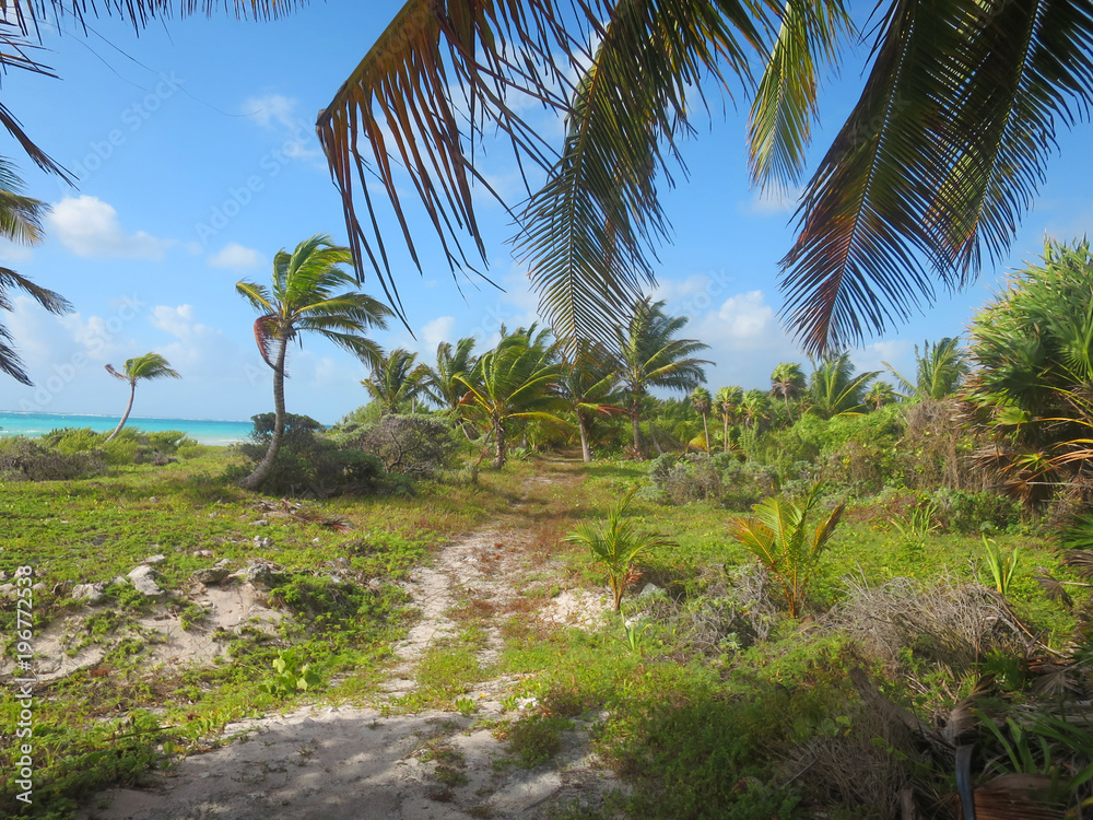 paesaggio tipico messicano dello Yucatan Massico paesaggio tipico messicano dello Yucatan Massico