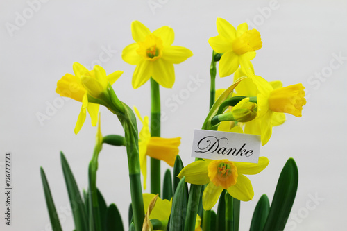 Fototapeta Naklejka Na Ścianę i Meble -  Danke (thank you in German) card with daffodils
