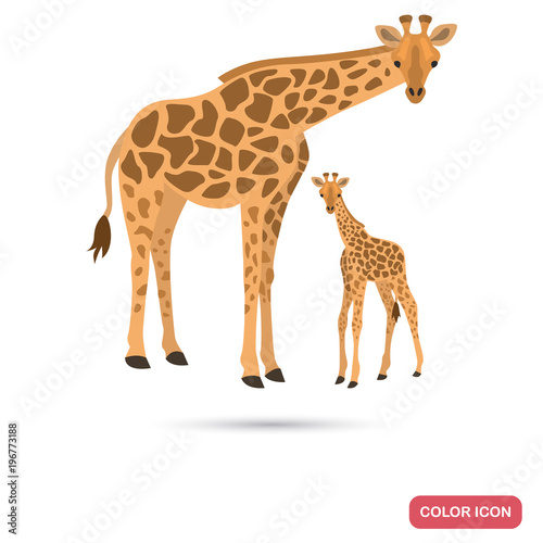 Fototapeta Naklejka Na Ścianę i Meble -  Giraaffe and cub color flat icon