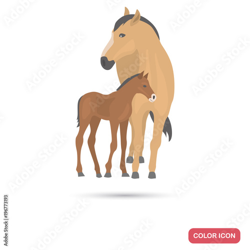 Horse and cub color flat icon