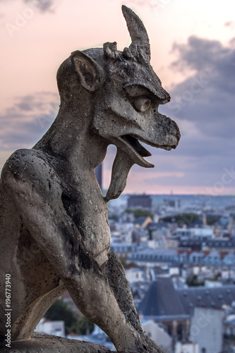 Leinwand Poster Gargoyle on Notre Dame In Paris at sunset