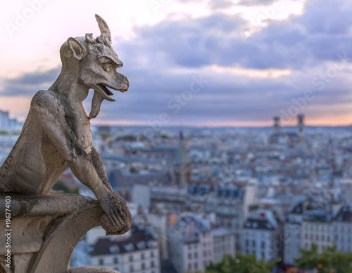 Gargoyle on Notre Dame In Paris at sunset