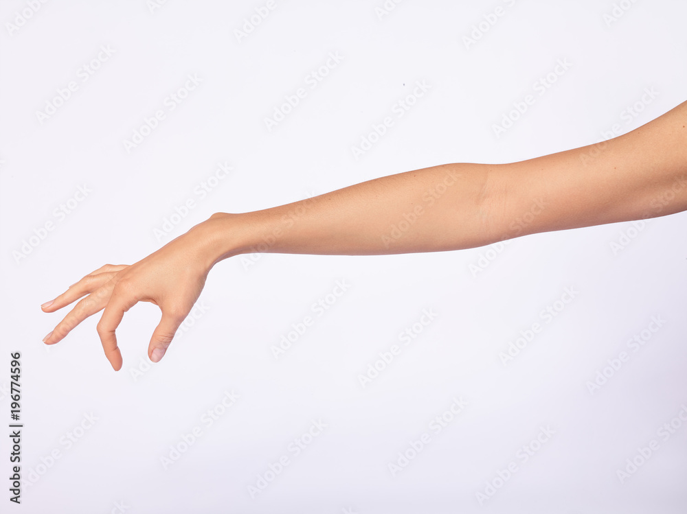 Main femme, fond blanc Main femme, fond blanc