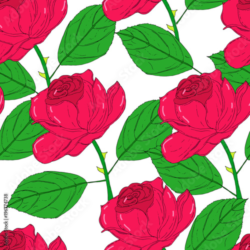 Vector seamless pattern with red roses on white background. Colorfull natural tracery.