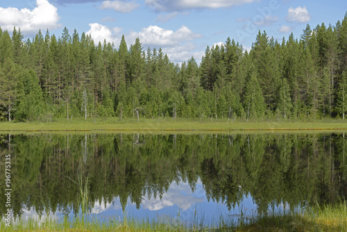 Northern Forest Lake in Finnish Lapland. Summer Landscape