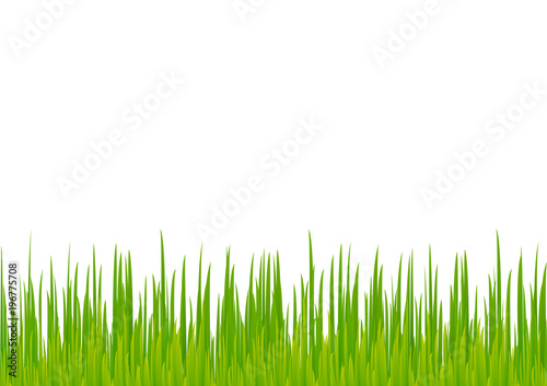 Green abstract pattern composed of colored green grass on white background. Colorful bright background with space for text, horizontal view. Imitation of grass.