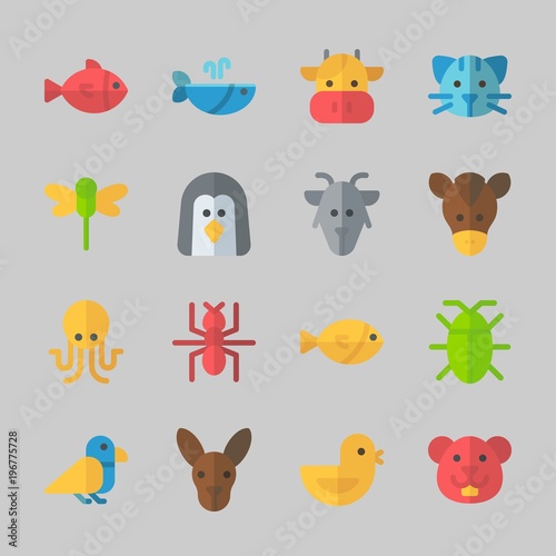 Fototapeta Naklejka Na Ścianę i Meble -  Icons about Animals with kangaroo, bird, chicken, horse, octobus and cat