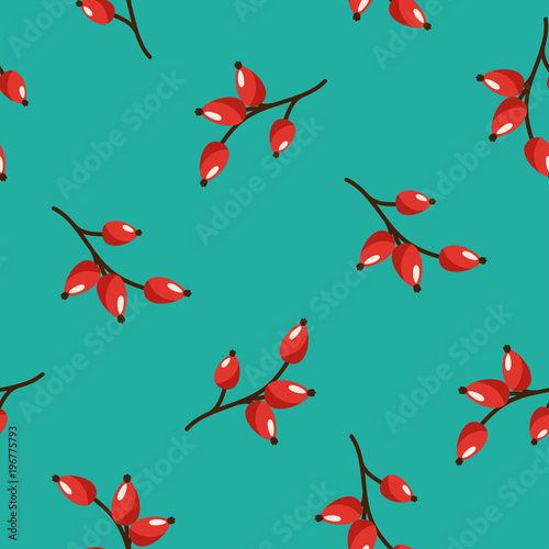 Floral seamless pattern texture with wild rose red berries on turquoise background. Winter vector