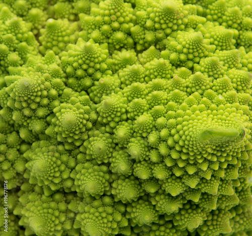 Close up of a roman cauliflower © Gabriele Maltinti