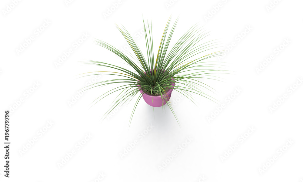 Green plant in brown vase isolated on white Green plant in brown vase isolated on white