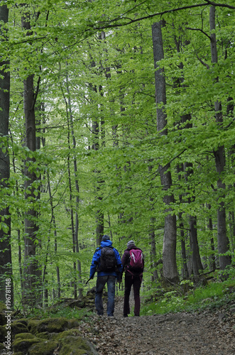 wanderer auf einem waldweg in der rhön