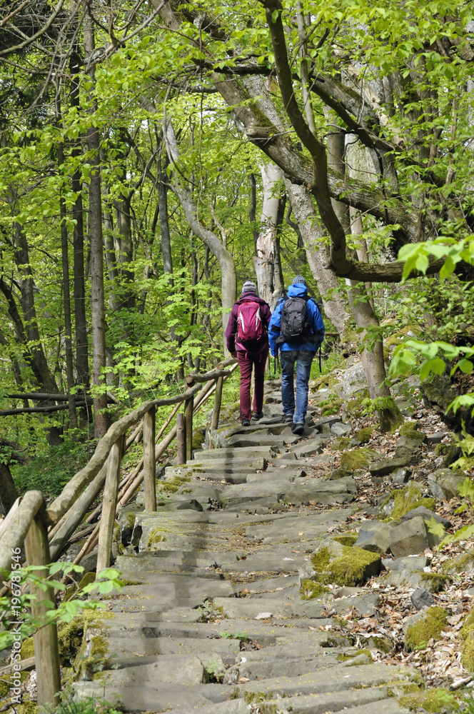 Fototapeta premium wanderer auf einem basaltweg in der rhön