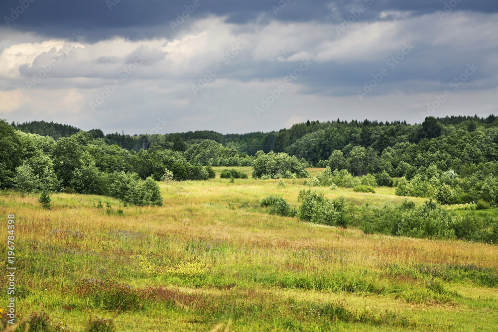 Landscape near Lazarevskaya village. Kargopolsky district. Arkhangelsk oblast. Russia