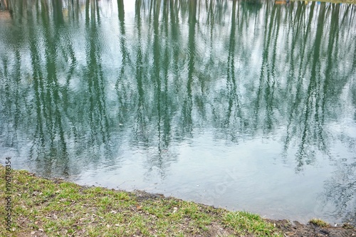 Trees reflect in the water, spring landscape, background