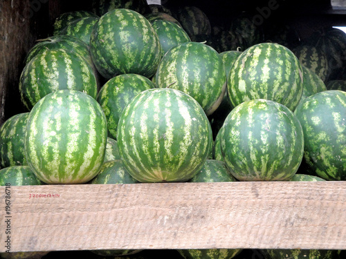 The harvest of watermelons in Tbilisi / Sale of a new crop of watermelons from a truck on the market in Tbilisi
