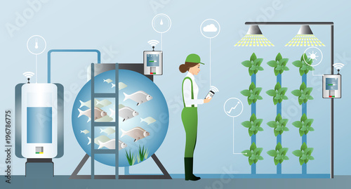 Growing plants in the greenhouse. Smart farm with wireless control. Eco farm with aquaponics system of planting vegetables. Vector illustration.