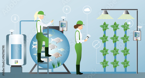 Growing plants in the greenhouse. Smart farm with wireless control. Eco farm with aquaponics system of planting vegetables. Vector illustration.