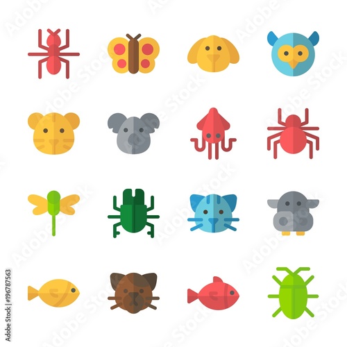 icon Animals with koala  cockroach  squid  tiger and cat