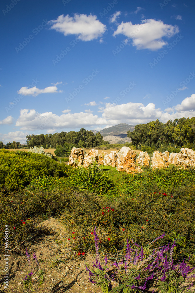 Fototapeta premium she'ar yashuv memorial
