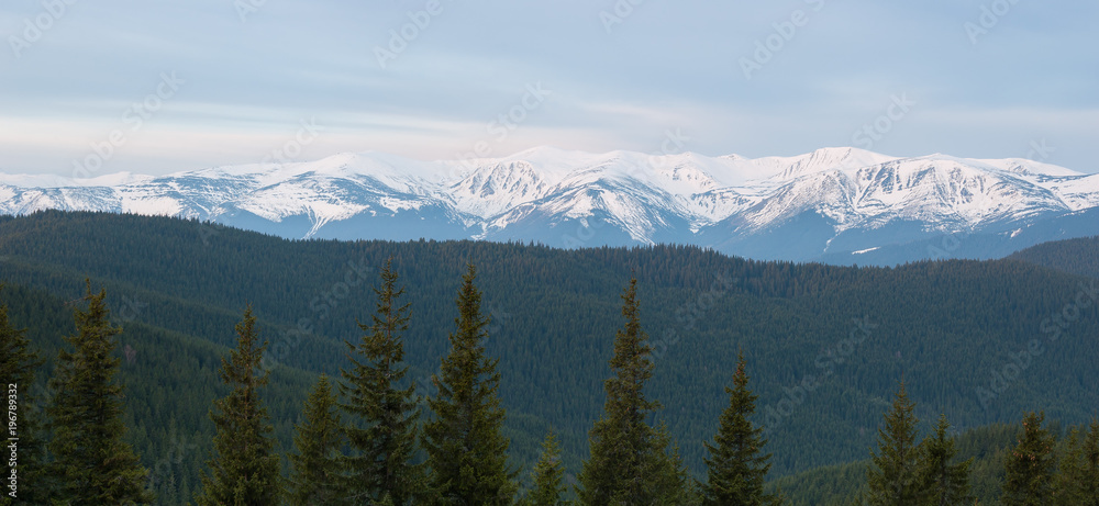 Spring landscape with a panorama of snowy mountains