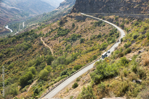 a herd of cattle driven by a mountain road