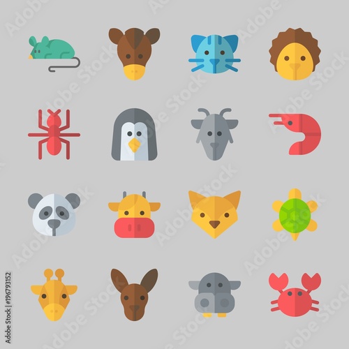 Icons about Animals with penguin, turtle, kangaroo, hippopatamus, prawn and hedgehog