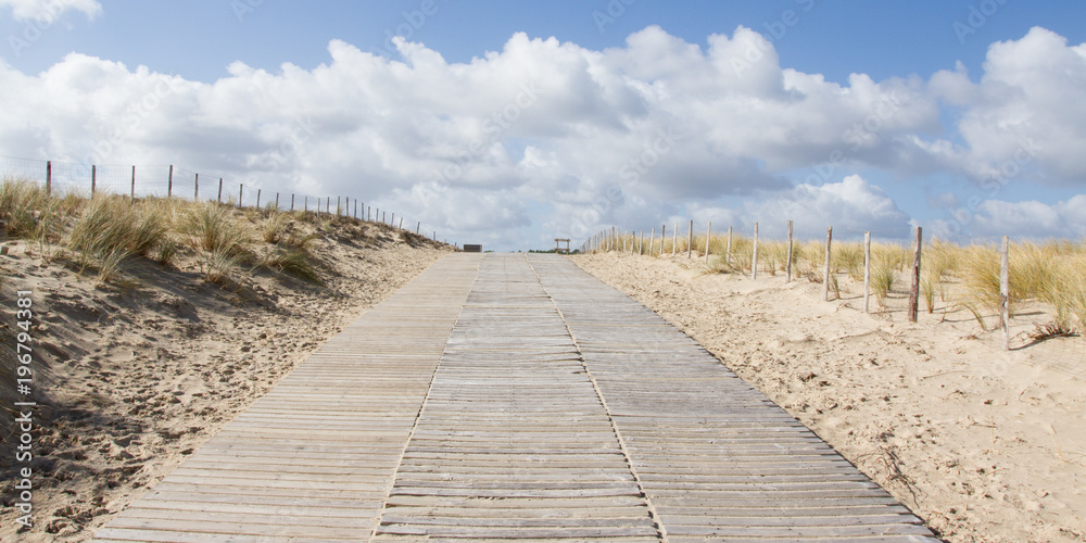 Wooden path sea over sand dunes with ocean view in summer