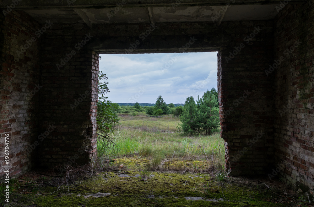 View from an old abandoned room.
