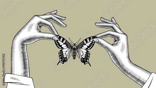 Woman's hands holding a butterfly in the fingers