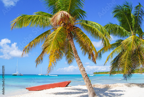 Fototapeta Naklejka Na Ścianę i Meble -  Tropical Beach in Caribbean Sea, Saona island, Dominican Republic.