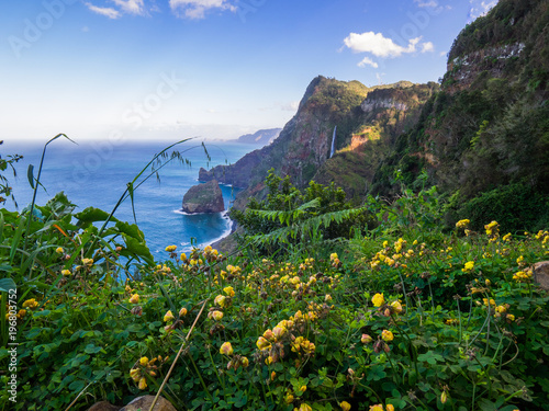 Coast at Madeira with flowers