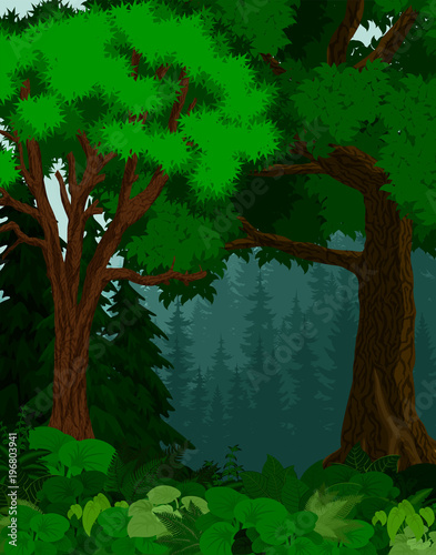 vector woodland green forest trees backlit
