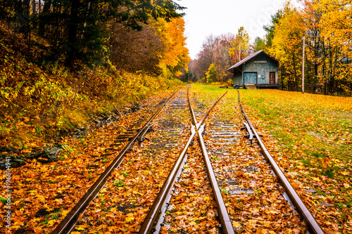 Wallpaper Mural Railway track in Catskills Torontodigital.ca