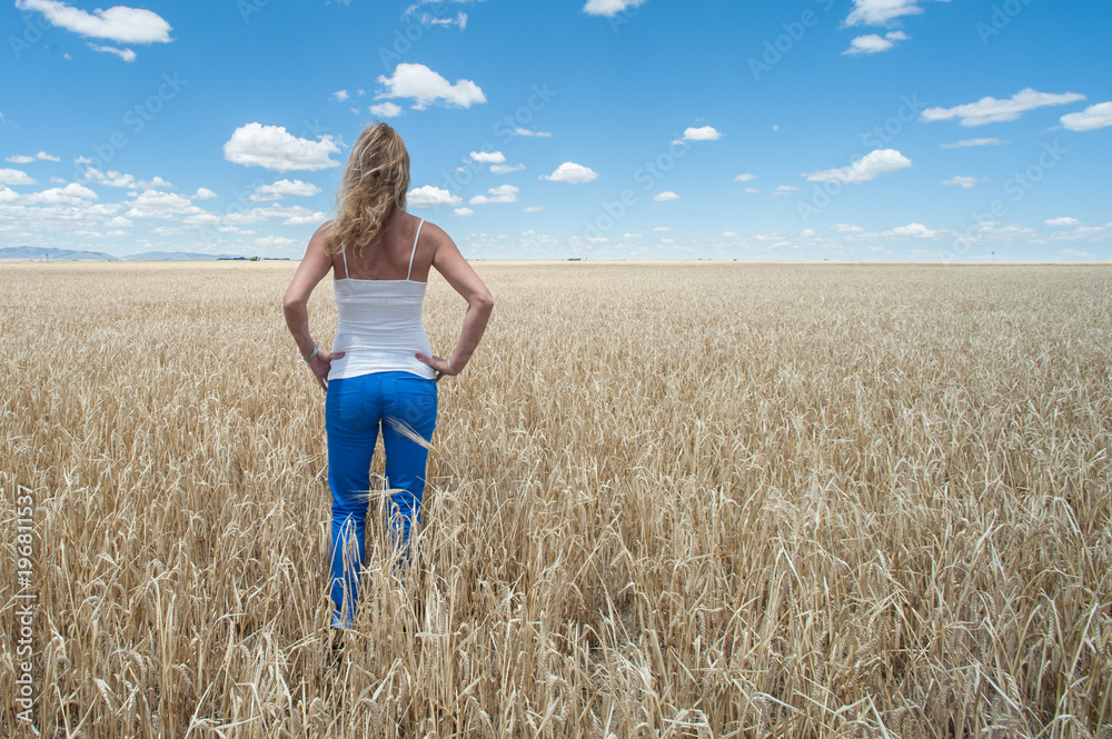 Woman in the wheat Woman in the wheat